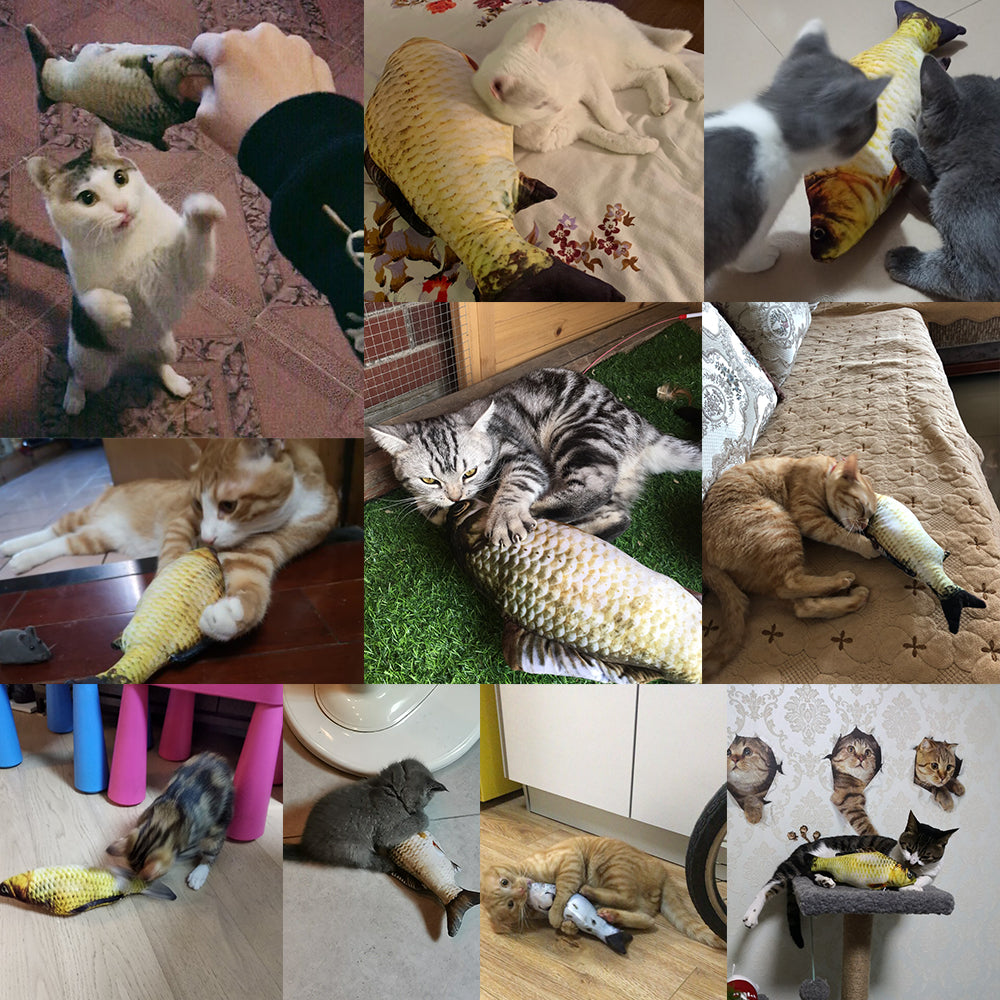 Electric Jumping Fish Cat Toy – Interactive Simulation Fish for Active Play Without Catnip