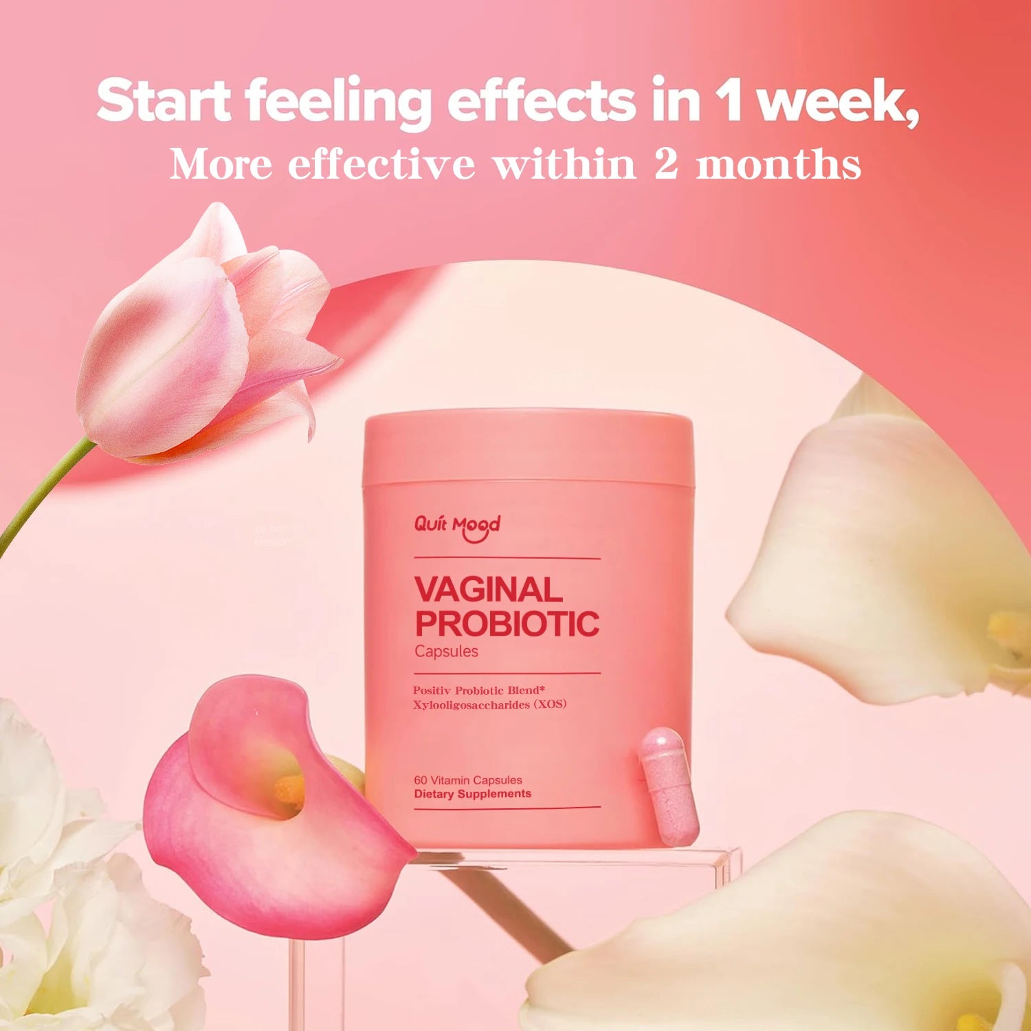 Quit Mood Women’s Probiotics for PH Balance — Lactobacillus Blend for Optimal Women’s Health