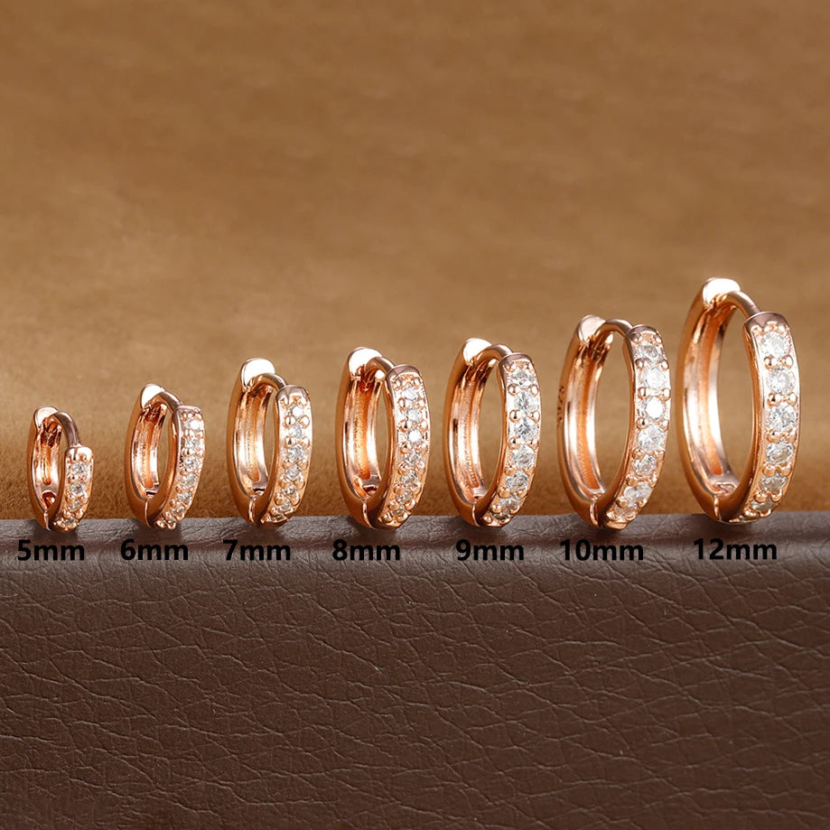 Premium Limited Edition Crystal Zirconia Huggie Hoop Earrings in Stainless Steel