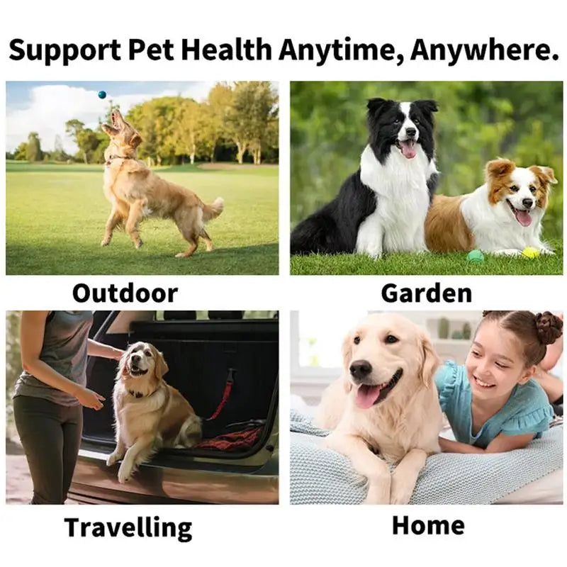 Pet Teeth Cleaning Wipes (50 Count) Dog & Cat Dental Finger Wipes for Bad Breath Removal, Portable Teeth Brushing Wipes for Home & Travel