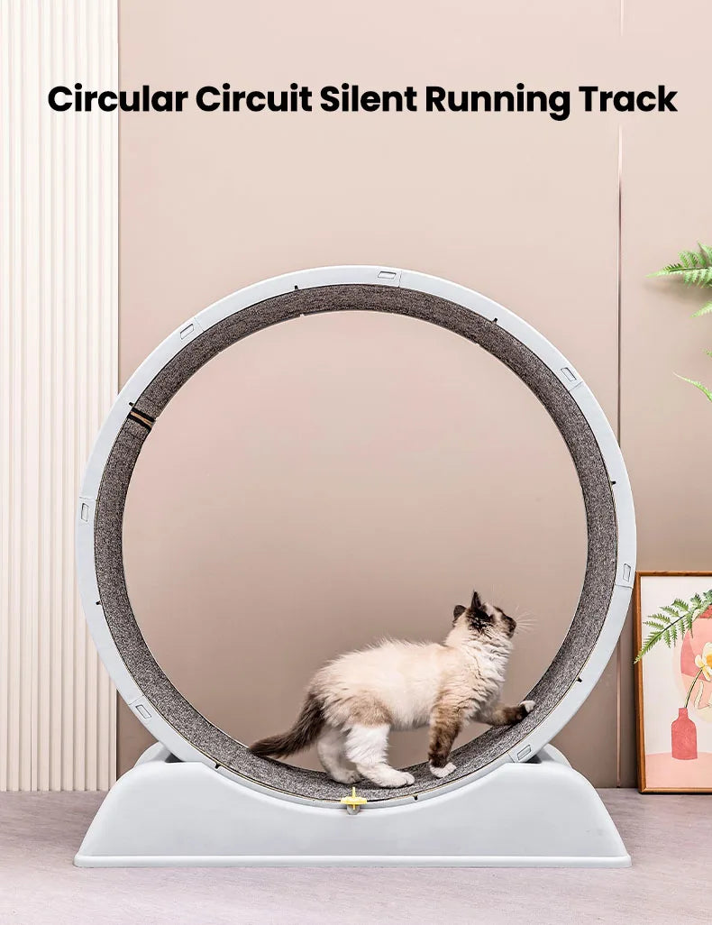 ✨ Cat Wheel Exerciser – Silent Running Treadmill for Indoor Cat Fitness, Play & Daily Enrichment (Blue/Gray)
