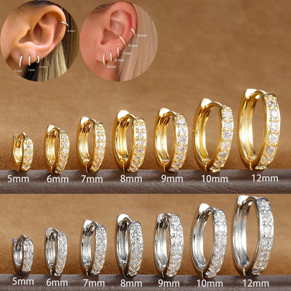Premium Limited Edition Crystal Zirconia Huggie Hoop Earrings in Stainless Steel