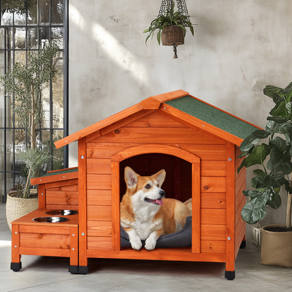Green Asphalt Roof Golden Red Main Body Fir House Type Cat and Doghouse